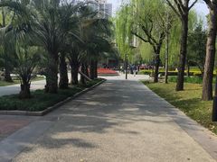 -苏州河梦清园环保主题公园