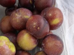 -尚客优悦酒店(成都龙泉驿都中路航天城店)