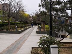 -金宫殿故址