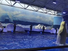 -秦皇岛乐岛海洋王国