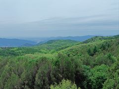 -北京鹫峰国家森林公园