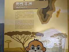 -陕西自然博物馆