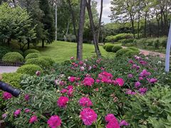 -钓鱼台国宾馆