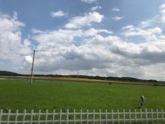 -莲花山花海