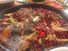 -老板恋上鱼(高新万达店)