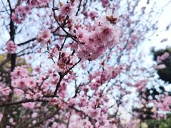 -和平公园