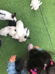 -萌宠亲子动物乐园(槐房万达店)