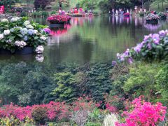 -深圳仙湖植物园