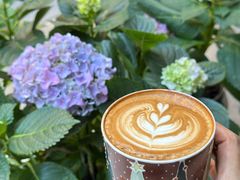 -concerto协奏曲咖啡店