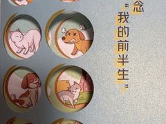-美联众合动物医院·24h转诊中心
