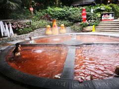 -融汇温泉