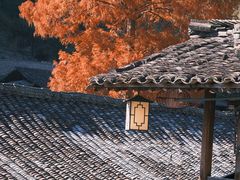 -林坑古村落
