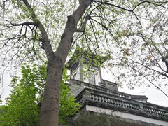 -广州神农草堂中医药博物馆