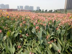 -那考河湿地公园