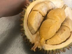 -都念榴莲·城市榴莲