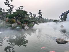 -罗红摄影艺术馆