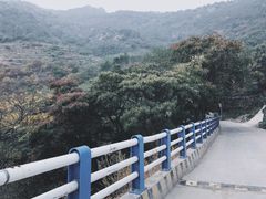 -灵山岛风景区