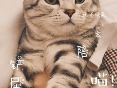 -宠爱国际动物医院·消化内科·心肾内科·ISFM猫友好(望京店)