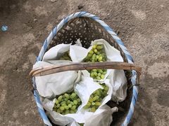 -马陆小张葡萄园农家乐