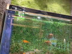 -牛上牛吊炉烧烤(红旗大街店)