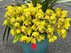 -F.Story 花和故事(新天地店)