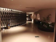 -国龙-龙之悦spa沐足中心