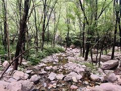 -玉渡山自然风景区