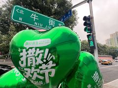 -撒拉花儿·新疆菜·清真(太阳宫店)