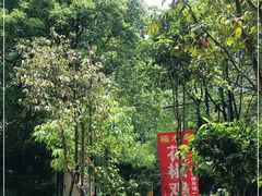 -铁山坪森林公园