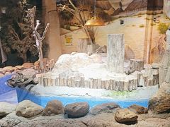 -正佳雨林生态植物园