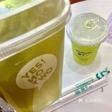 新品｜春天在杯底转了个身🍃
