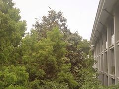 -天目湖御水温泉·度假酒店