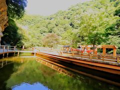 -少华山国家森林公园