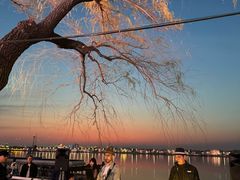 -人民防洪胜利纪念塔