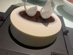 -BLACKSWAN黑天鹅(环球店)