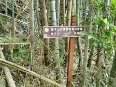 -莫干山风景区