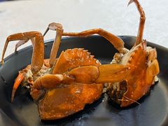 -莲花公园煎蟹(总店)