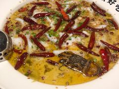 -首秀·四川料理(星耀101店)