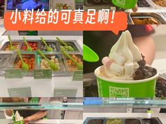 -Salud撒露欧洲冻酸奶(五道口购物中心店)
