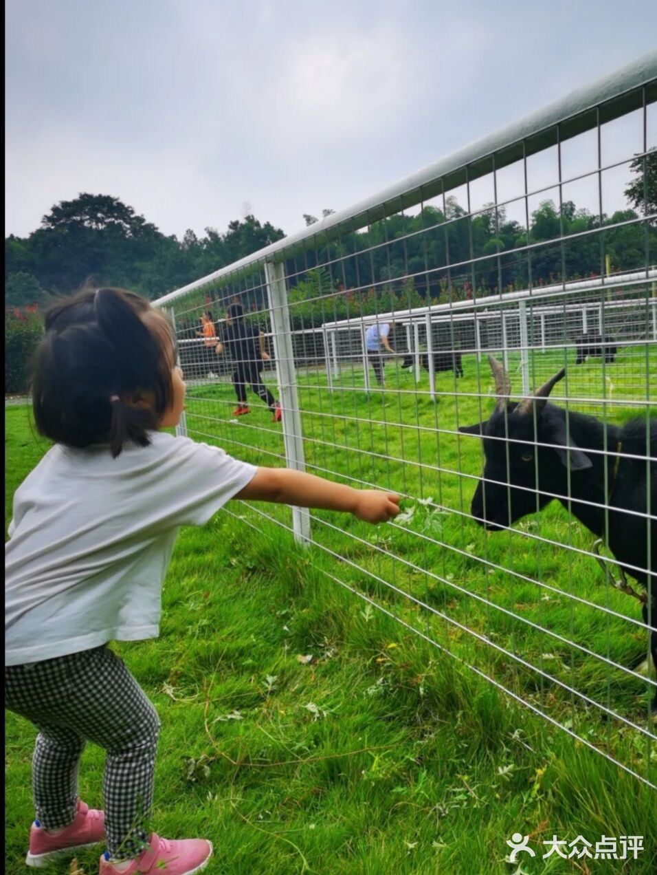 39.9元就可以带宝宝玩一天的乐园 