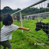 39.9元就可以带宝宝玩一天的乐园 