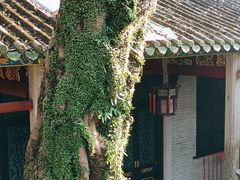 -国恩寺