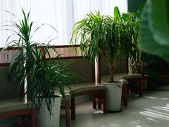 -钰田大院·碳烤虹鳟鱼·怀柔地道农家菜(雁栖湖店)