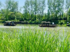 -溱湖国家湿地公园