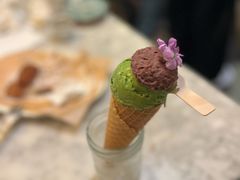 -野草莓自由市场