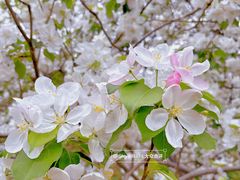 -元大都城垣遗址公园