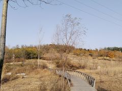-马家湾湿地公园