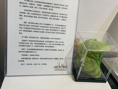 -上海外滩星空失恋减压馆(外滩旗舰馆)
