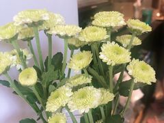 -MonsterBeans怪兽咖啡(东财店)