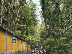 -灵隐飞来峰景区